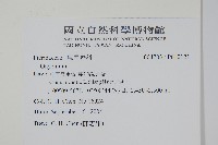 登錄號:P010121藏品圖，第2張