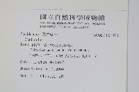 登錄號:P010124藏品圖，第2張