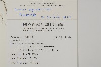 愛氏鐵線蕨藏品圖，第5張