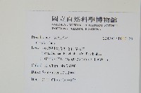 登錄號:P010126藏品圖，第2張