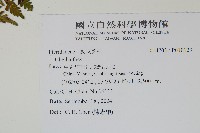 登錄號:P010129藏品圖，第2張
