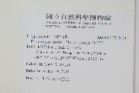 金雞腳藏品圖，第2張