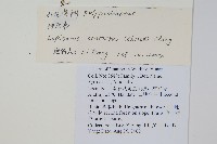 扭瓦葦藏品圖，第2張