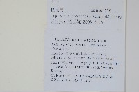 扭瓦葦藏品圖，第2張