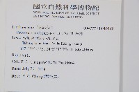 烏蕨藏品圖，第2張