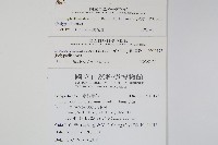 骨牌蕨藏品圖，第2張