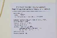 日本金粉蕨藏品圖，第2張