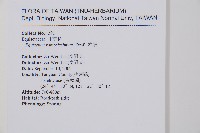 木賊藏品圖，第2張