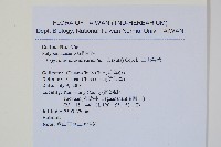 玉山茀蕨藏品圖，第2張