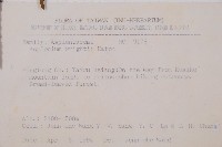 萊氏鐵角蕨藏品圖，第2張