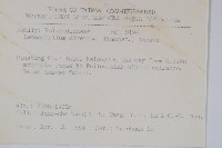 骨牌蕨藏品圖，第2張