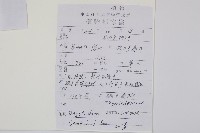 馬祖耳蕨藏品圖，第8張