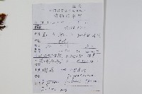 槲蕨藏品圖，第2張