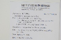 粉背蕨藏品圖，第2張