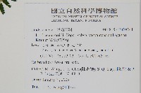 攀緣鱗始蕨藏品圖，第2張