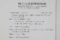 掌葉茀蕨藏品圖，第2張