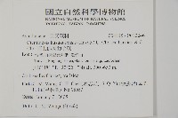 高士佛擬肋毛蕨藏品圖，第2張