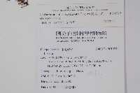 擬芨瓦葦藏品圖，第2張