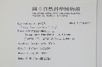 石松藏品圖，第2張
