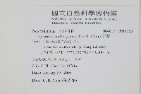 瓦葦藏品圖，第2張