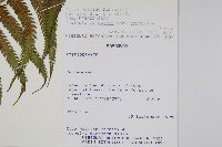 登錄號:P010261藏品圖，第2張