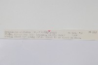 登錄號:P010262藏品圖，第2張