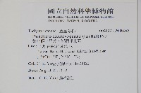 翅軸假金星蕨、短柄卵果蕨藏品圖，第2張