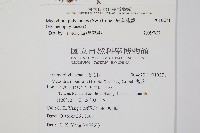 細葉蕗蕨藏品圖，第2張