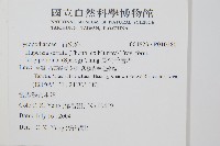 長柄千層塔藏品圖，第2張