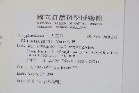 聖蕨藏品圖，第2張