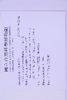 北京鐵角蕨藏品圖，第2張