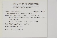 縮羽鐵角蕨藏品圖，第2張