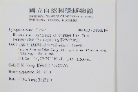 長柄千層塔藏品圖，第2張