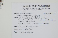 大武禾葉蕨藏品圖，第2張