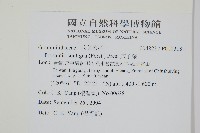 穴子蕨藏品圖，第2張