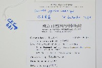 登錄號:P010319藏品圖，第2張