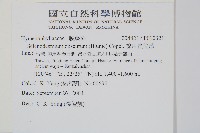 線片長筒蕨藏品圖，第2張