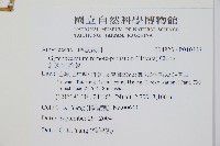 細裂羽節蕨藏品圖，第5張