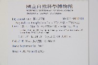 芽胞耳蕨、芽孢耳蕨藏品圖，第2張