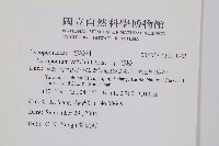 玉山石松藏品圖，第2張