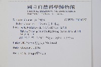 玉山耳蕨藏品圖，第2張