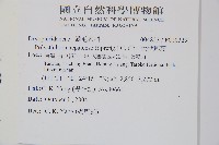 軟骨耳蕨藏品圖，第2張