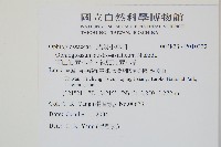 高山瓶爾小草、鈍頭瓶爾小草藏品圖，第2張