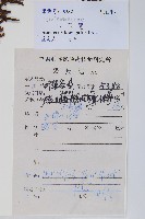 假芒萁藏品圖，第2張