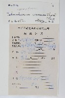 廣西長筒蕨藏品圖，第2張