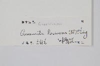 登錄號:P010346藏品圖，第2張