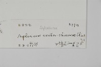 登錄號:P010348藏品圖，第2張