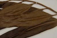 鹵蕨藏品圖，第4張