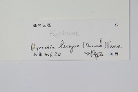 石葦藏品圖，第2張