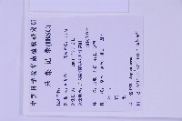 生芽鐵角蕨藏品圖，第3張